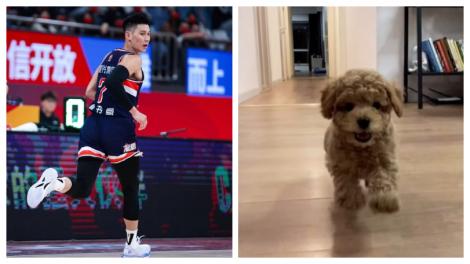 才宣布結婚　林書豪喜曝家庭第三位成員：是狗狗