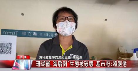 疫情趨緩遊客暴增  生態被破壞 基市府：將嚴懲