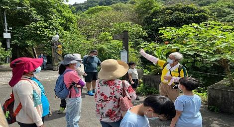 瞻仰逾250歲大榕樹、走訪蛙類棲息地 貴子坑一日縱走郊遊趣