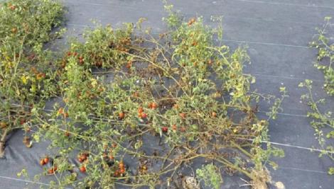 台南市發錢！救助金將撥入帳戶　這些人可領取