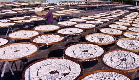 內行人才知道！市長黃偉哲帶路　走訪電視劇也拍的臺南山城關廟