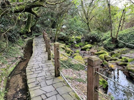 帶你探索竹子湖秘境：水車寮步道—充滿農業歷史的特色小徑
