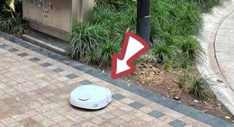 掃地機器人竟打掃「社區中庭」男子氣炸！竟是貓咪幹的好事