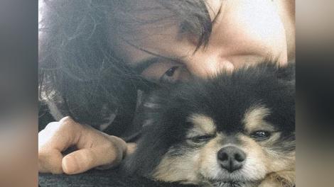 「炭，我好想你」—BTS V分享愛犬合照　抒發最深情的思念