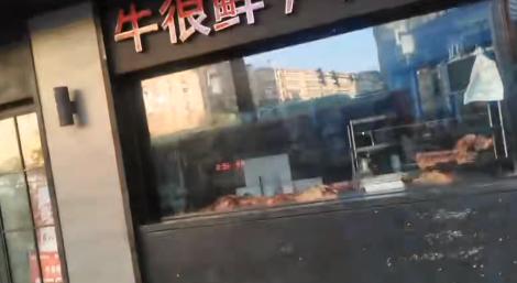 老鼠也來「吃到飽」火鍋店狂嗑生牛肉　畫面曝光