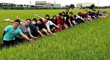 台南田間玩很大！稻香蔗甜玩藝去　結合食農教育、咖波稻田彩繪