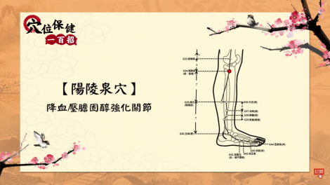 男性福音，壯陽與消除膝關節疼痛一次搞懂