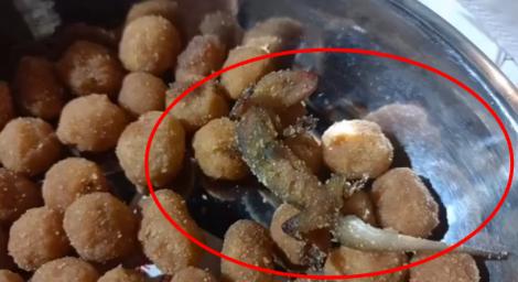 噁爆！購買知名堅果品牌「大禮包」　竟吃到「油炸壁虎」