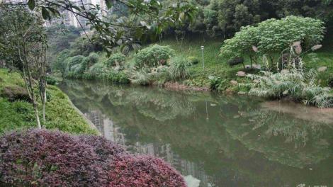 31歲男「1天買4意外險」半年後公園溺斃　3公司不肯賠…法官這樣判