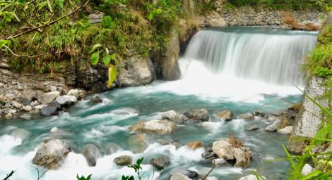 兒童節好康來了！12歲以下「15座森林遊樂區」免費入園