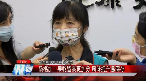 桑椹加工果乾新技術 風味提升易保存