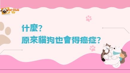 什麼？原來貓狗也會得癌症？