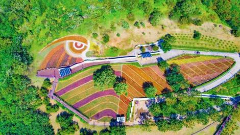 北投有故事！　三層崎花海周邊考古小旅行