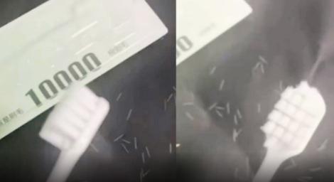 牙刷號稱「10000根毛」男子不信　親自驗證「一根一根數」！結果曝光