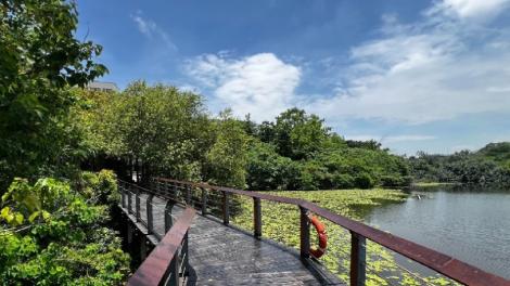 澄清湖新亮點！鳥松濕地步道升級　入口廣場風華再現