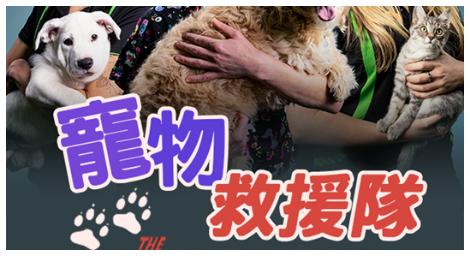 《Wild Nature Weekend野生自然週末特別企劃》帶你走進大自然的世界