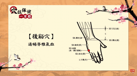 想要好肌膚和止咳 顧好這穴位