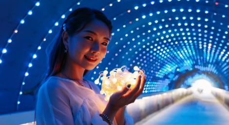 超美！旗津「星空隧道」藍色多瑙河　景緻超浪漫