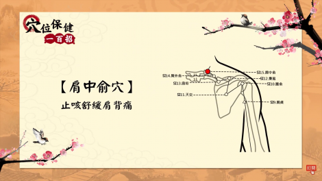 想要魔鬼身材 點肩胛骨穴位