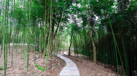 走進花蓮南區夏日避暑絕美步道　分享貼文抽登山杖及活動限定立體卡