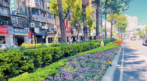 新北景觀處打造彩虹花海　迎接聖誕與嶄新2025