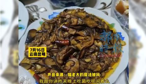 鏟屎官吃完「這道菜」看見兩隻貓「翹二郎腿下象棋」：還講我壞話