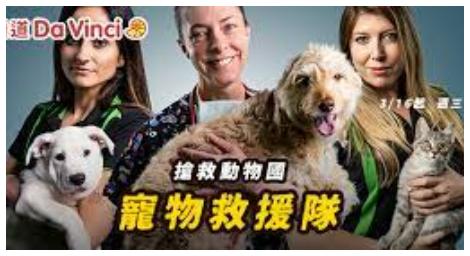 《寵物救援隊》一起來看看這群有愛的人們和療癒的萌寵吧！