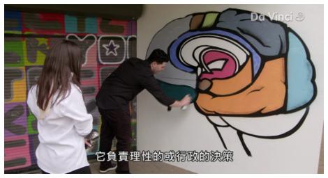 你是熱愛冒險的人嗎？大腦如何平息邏輯與情緒間的拉鋸戰！