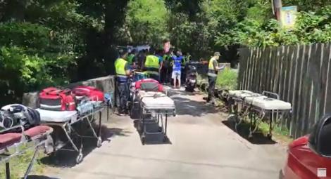 相約瑞芳爬山！慘遭「蜂群狂螫」11人送醫　4人慘況曝光