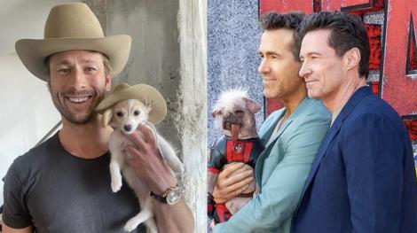 好萊塢毛小孩之戰！ 《死侍》英國最醜狗PK《龍捲風暴》IG網紅犬