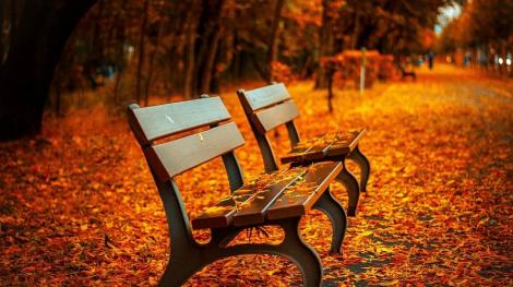 立秋7大禁忌曝！切記勿「玩蟋蟀」…這時間扒飯將旺整年