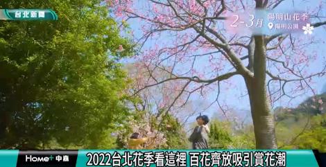 2022台北花季看這裡 百花齊放吸引賞花潮