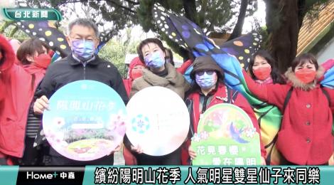 人氣明星雙星仙子加持 陽明山花季繽紛登場