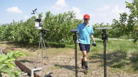 高雄智慧農業補助來囉！　 4大類型最高50萬元