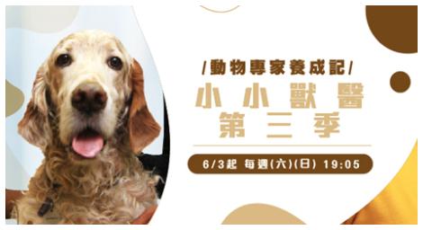 《小小獸醫JuniorVets》第三季回來啦！接下來會發生什麼事情呢？跟著一起看下去