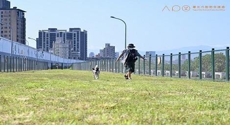 毛小孩專屬運動空間「延平狗活動區」啟用