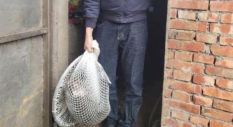 六福村被指控「授權開槍」自清三點聲明：將對獵人提告！