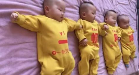 去年6月生下四胞胎！她竟又懷上四胞胎　醫警告恐有這下場