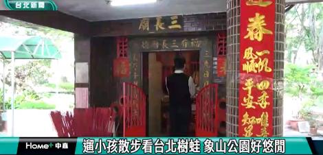 遛小孩散步看台北樹蛙 象山公園好悠閒