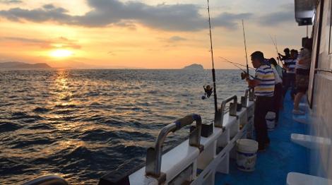 食當季、吃在地　深澳小卷季即將吹響號角