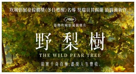 結實千奇百種，盡現人生豐收《野梨樹》