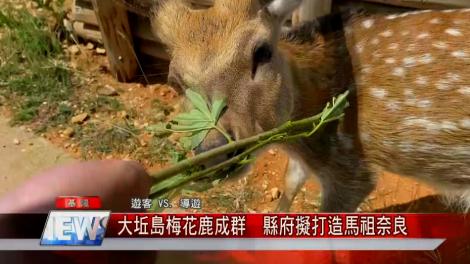 前進離島最夢幻小鹿天堂！馬祖SUP立槳體驗X戰地風情