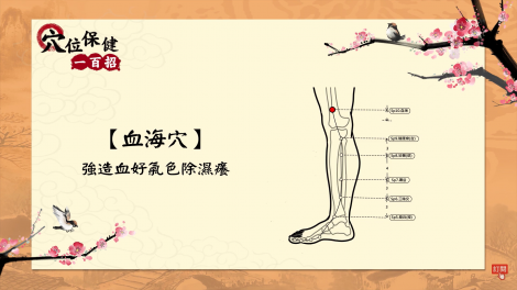 一穴位除濕氣、強化膝關節？！