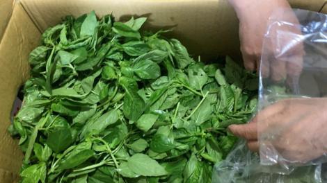 欣葉台菜、微風超市皆上榜！蔬菜被驗出「農藥殘留」