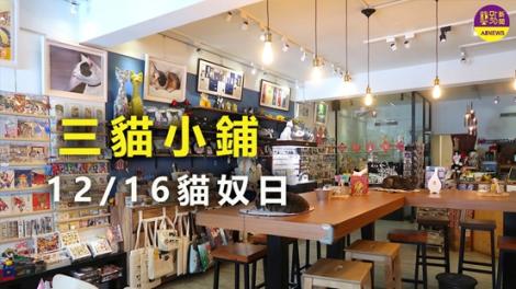 圍繞萌貓與咖啡香 文創店邀您共享療癒悠閒時光