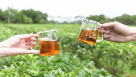 茶香、花香、咖啡香　到23.5度細細品味絕美星空及花蓮香