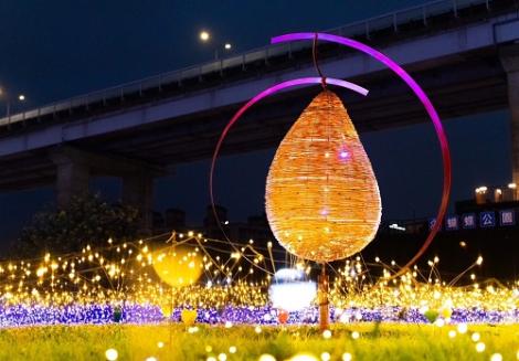 新北河濱蝶戀季開展　有接受到蝴蝶女神的招喚了嗎？