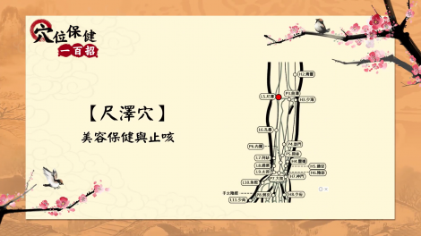 搞定兩穴位 耳鳴、落枕毋免驚