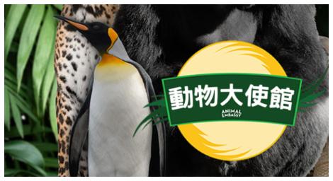 《動物大使館》將帶大家探索 西班牙特納里夫鸚鵡公園