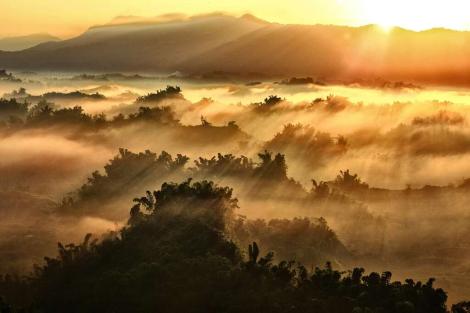 台南左鎮草山菅芒花盛開　楸您來欣賞搖曳生姿美景